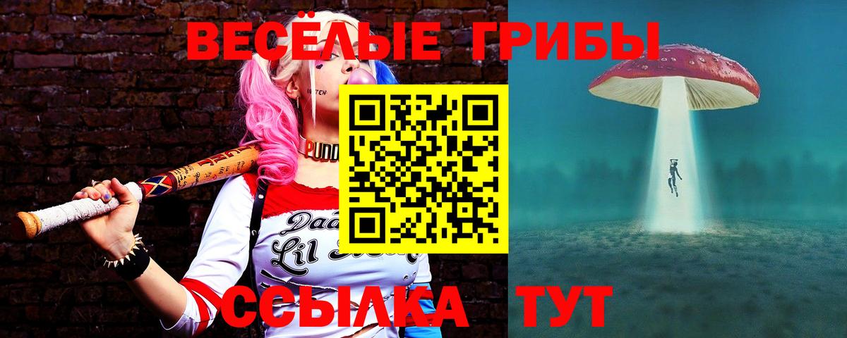 Нальчик  Псилоцибиновые грибы Psilocybine cubensis  Вход с VPN 